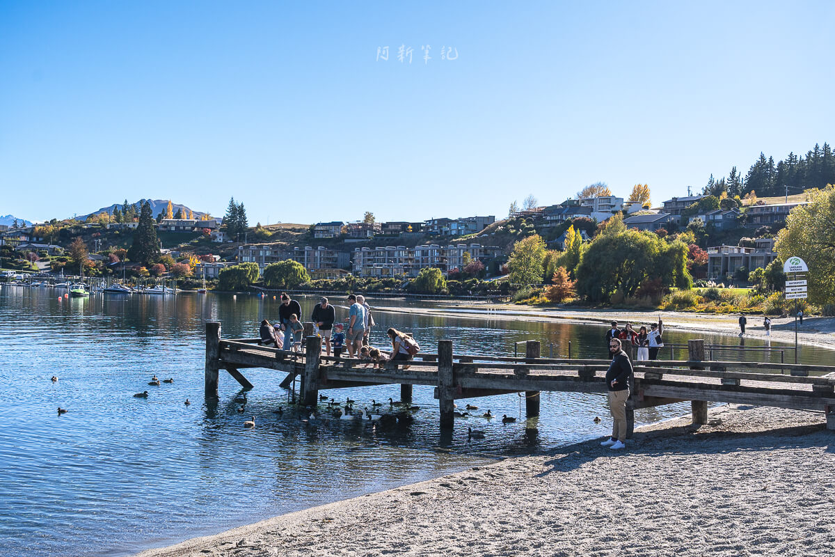 瓦納卡湖景 That Wanaka Tree