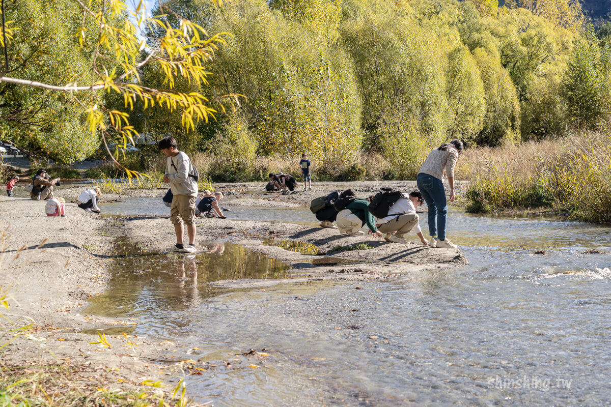 箭鎮 Arrow River 淘金體驗,用傳統淘金盤在清澈河水中尋找黃金