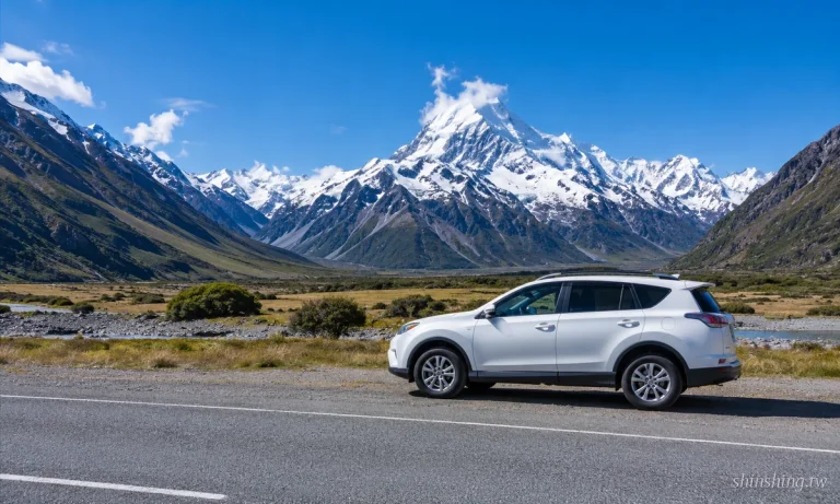 紐西蘭 庫克山 自助 自駕 白 Rav4 側 Classic Shot