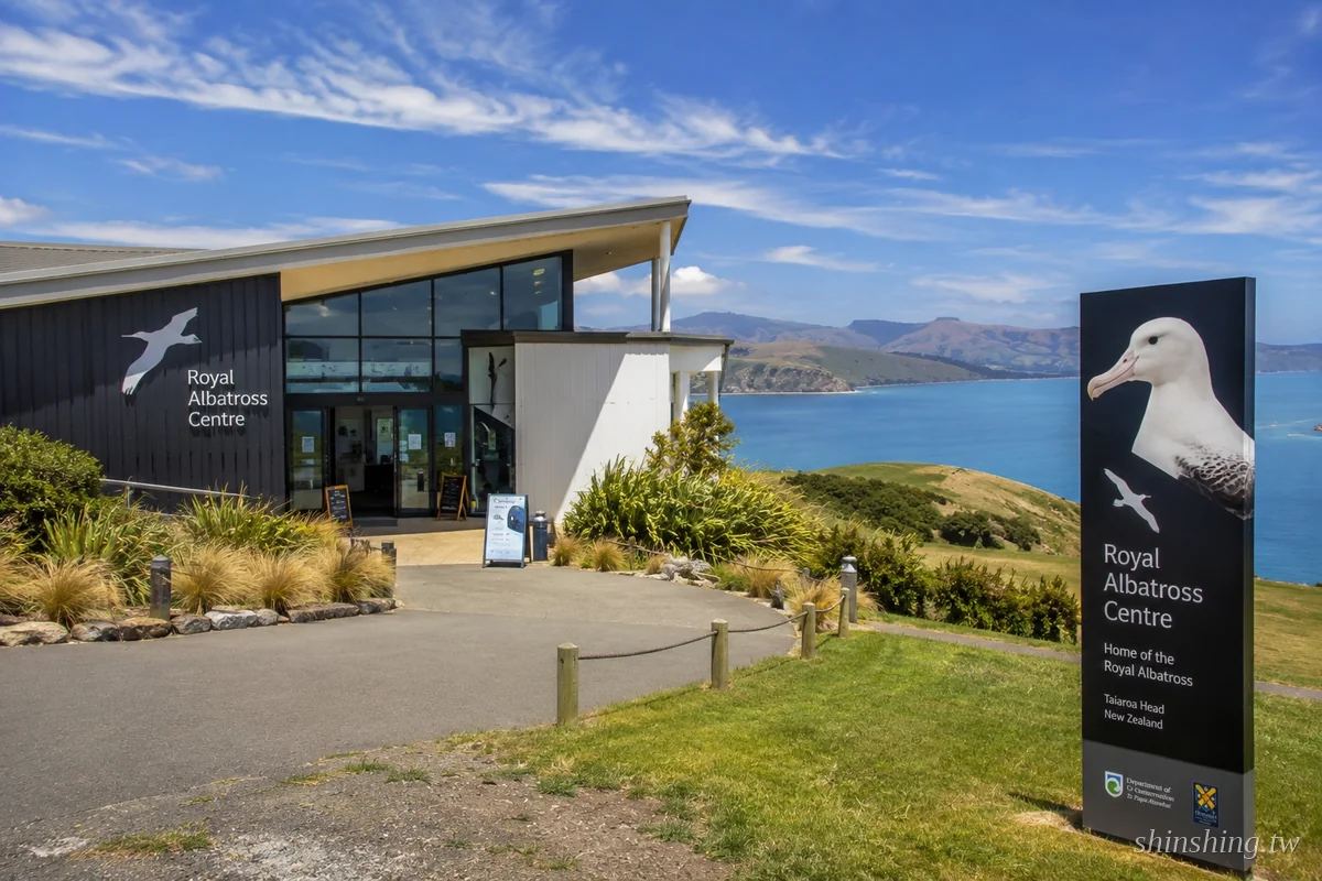 奧塔哥半島 Taiaroa Head 皇家信天翁中心