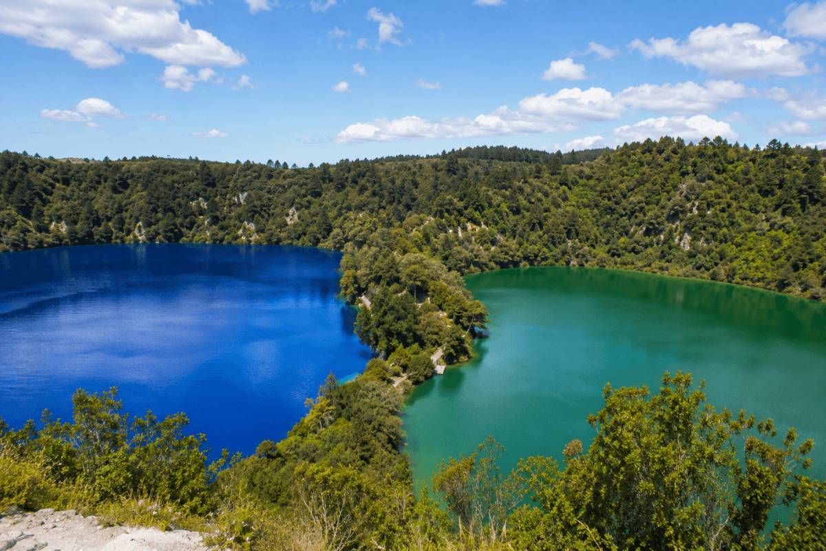 羅托魯瓦 Blue Lake 藍湖 Tikitapu 翠綠色湖水