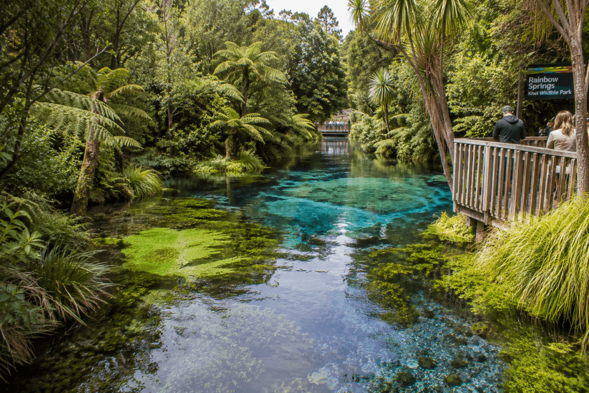 Rainbow Springs 彩虹泉透明清澈的藍色湧泉