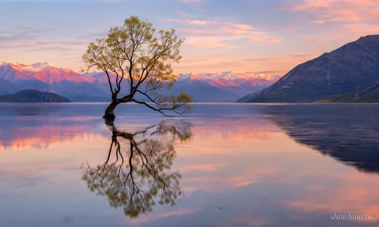 紐西蘭 That 瓦納卡 Tree Pastel 夕陽 Mirror 湖