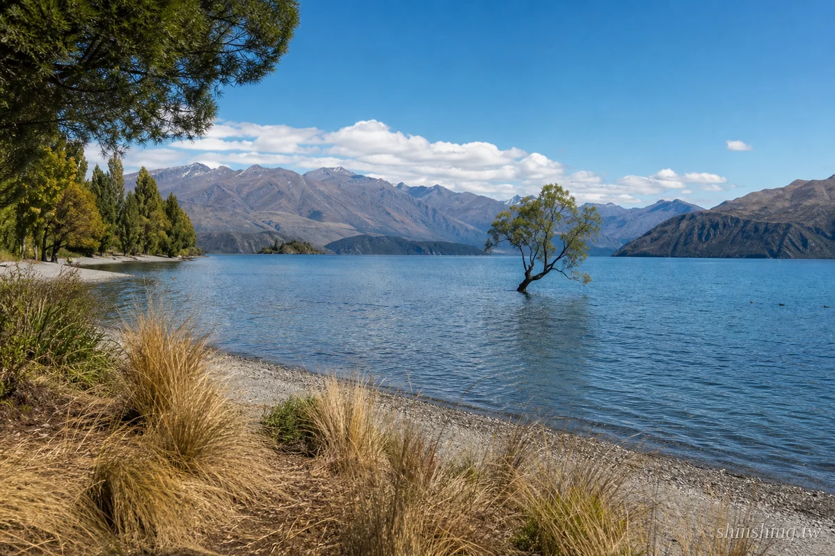That Wanaka Tree 瓦納卡湖中孤樹與雪山倒影,紐西蘭最被拍爛的網紅景點