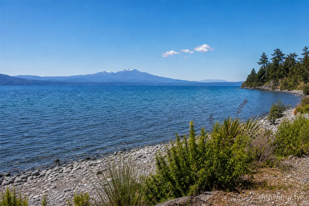 陶波湖湛藍湖水與東加里羅火山,紐西蘭虹鱒密度最高的湖泊
