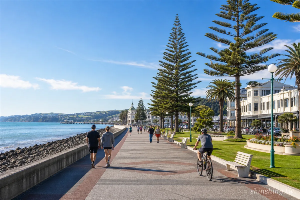 納皮爾 Marine Parade 海濱大道與棕櫚樹