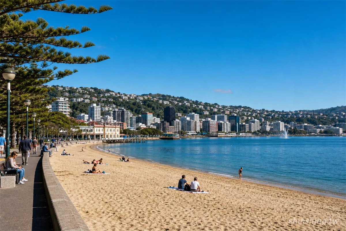 威靈頓一日遊 Oriental Bay 海灘與市區天際線，背景是藍色庫克海峽