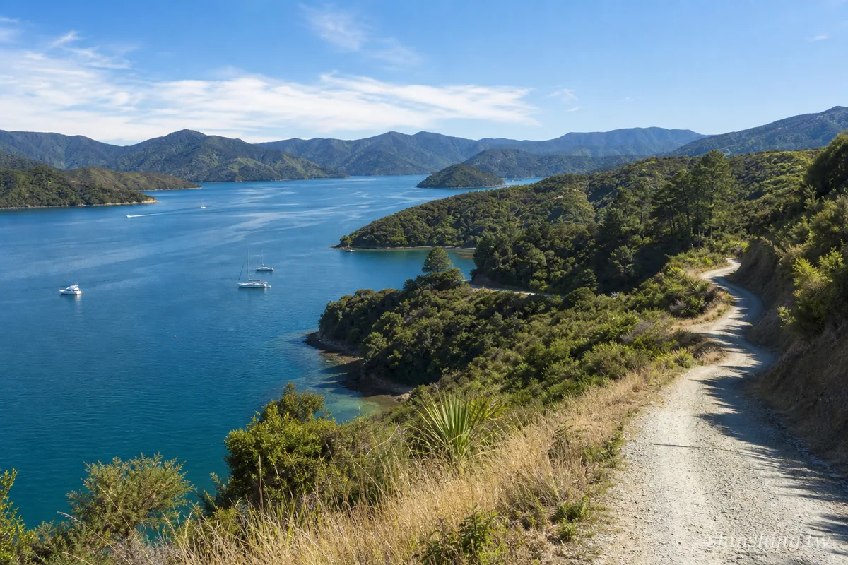 夏洛特女王峽灣景觀公路沿線海灣與森林山丘,適合慢遊住宿