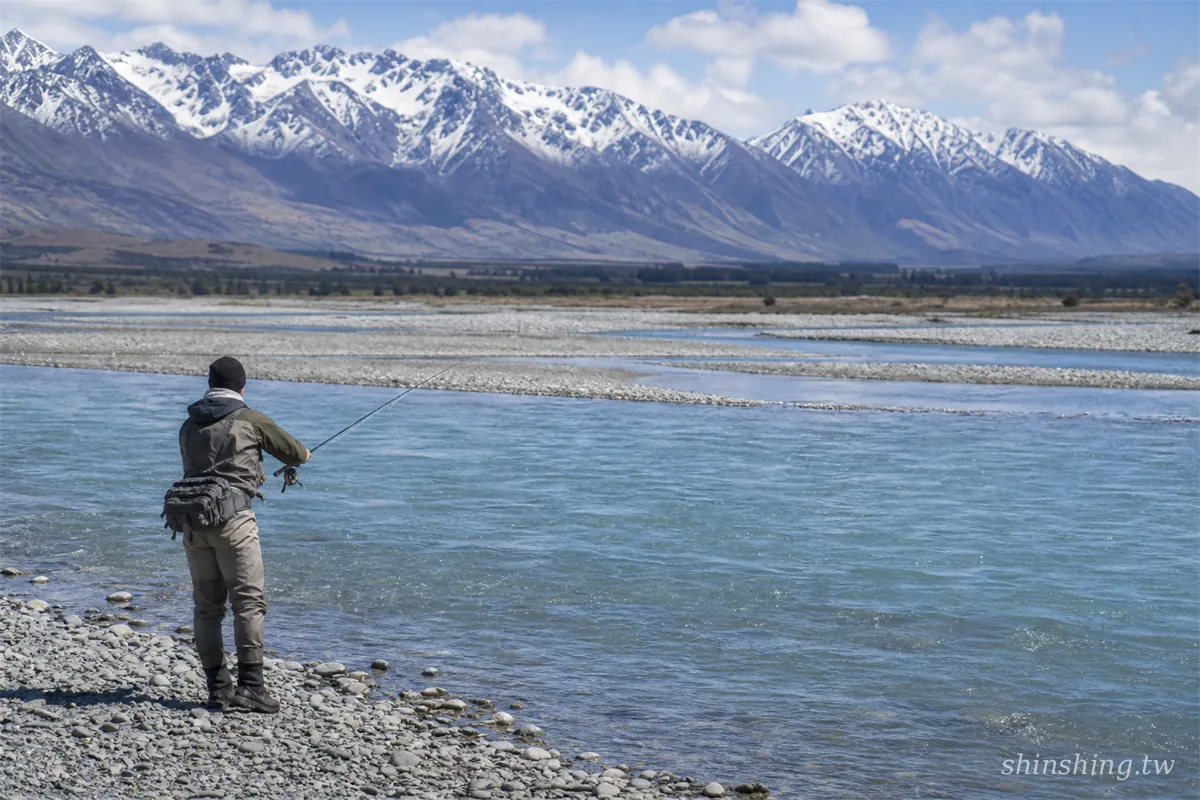 Rangitata River 辮狀河道與南阿爾卑斯山背景,紐西蘭 Chinook Salmon 洄游釣點