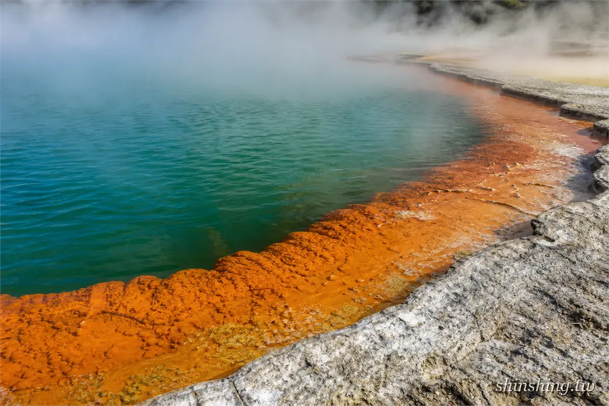 Wai-O-Tapu 地熱公園的香檳池,橘色礦物邊緣與冒煙的綠色池水
