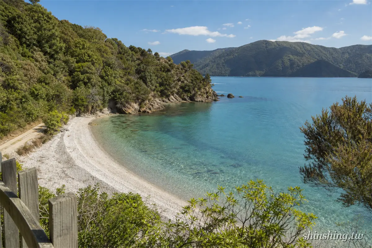 Shelly Beach 礫石海灘與清澈的峽灣海水
