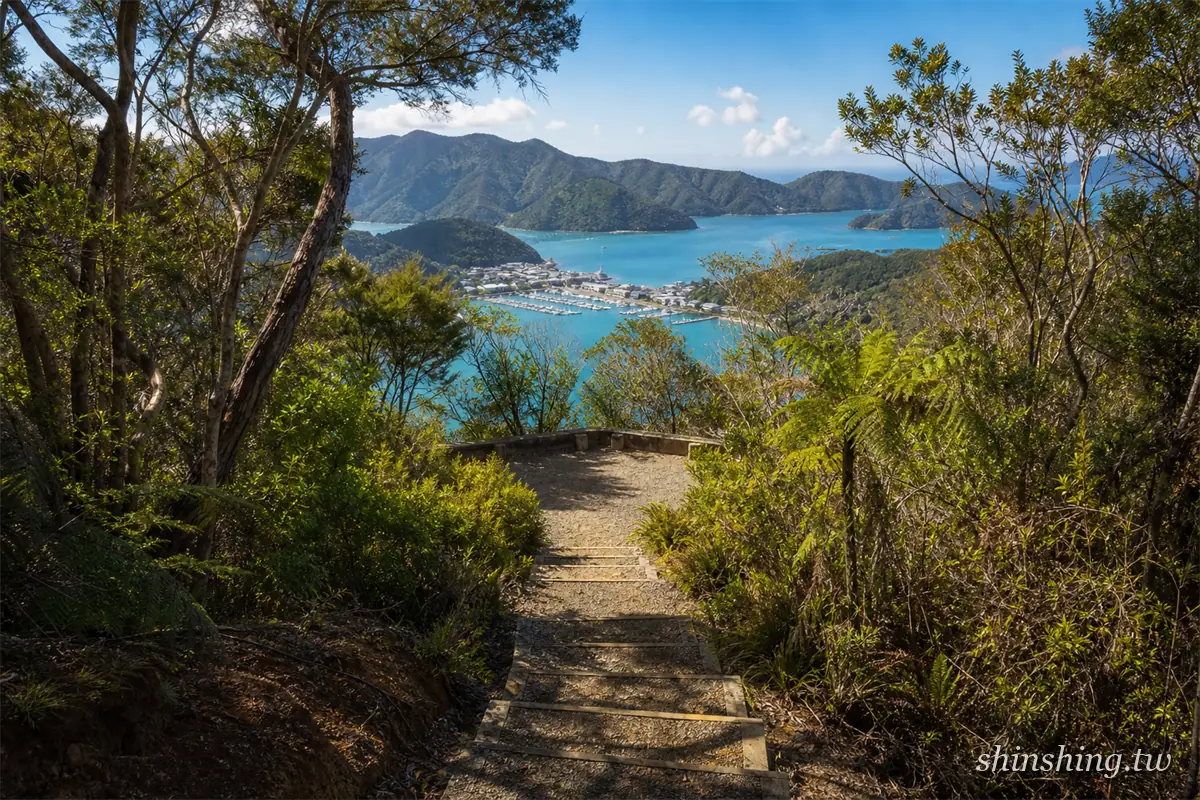 Victoria Domain 步道觀景點俯瞰皮克頓港與 Queen Charlotte Sound